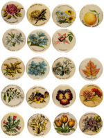 "CHOICE AND RARE FLOWERS" c.1898 NEAR SET OF BUTTONS.