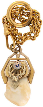 ELKS FRATERNAL WATCH CHAIN CHARMS OF EXCEPTIONALLY LARGE TEETH IN 10K GOLD MOUNTS.