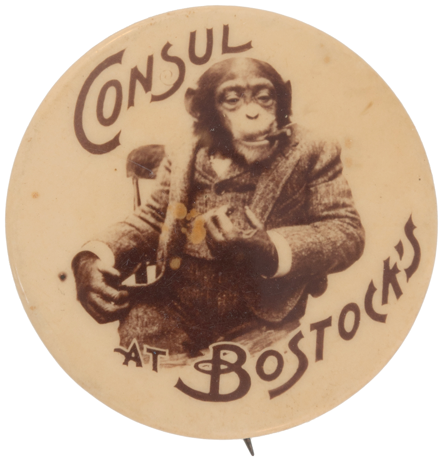 Hake's - FAMOUS CIGAR SMOKING CHIMPANZEE BUTTON TITLED "CONSUL AT