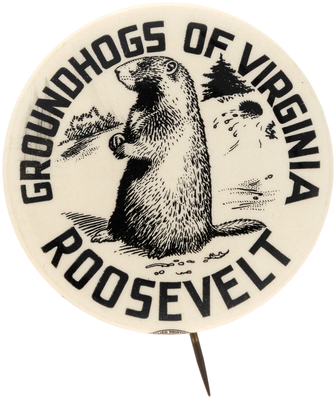 Hake's "GROUNDHOGS OF VIRGINIA ROOSEVELT" BUTTON HAKE 2026.