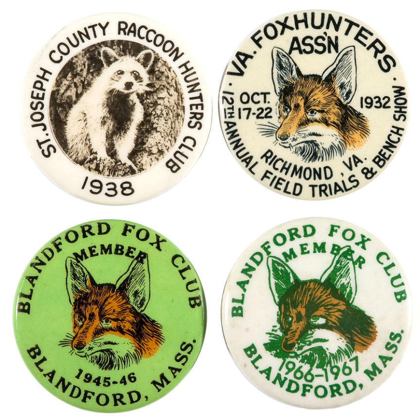 blandford fox predators